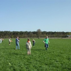 Koala 148 - Scouts en Gidsen Zaventem 